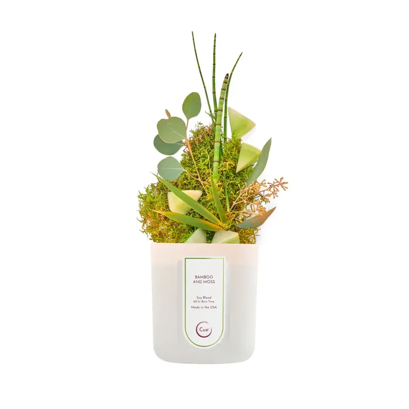 Bamboo And Moss 12oz Candle