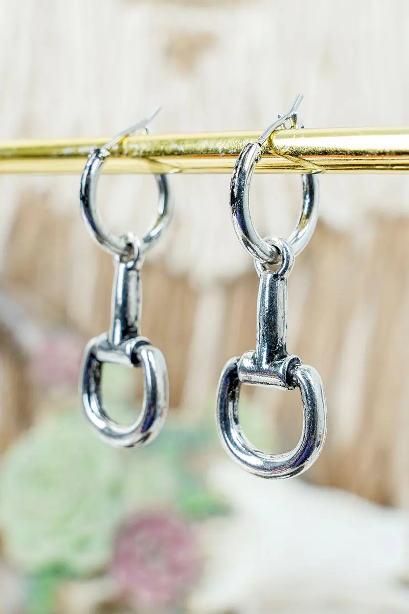 Barn Classic Silvertone Hoop Earrings