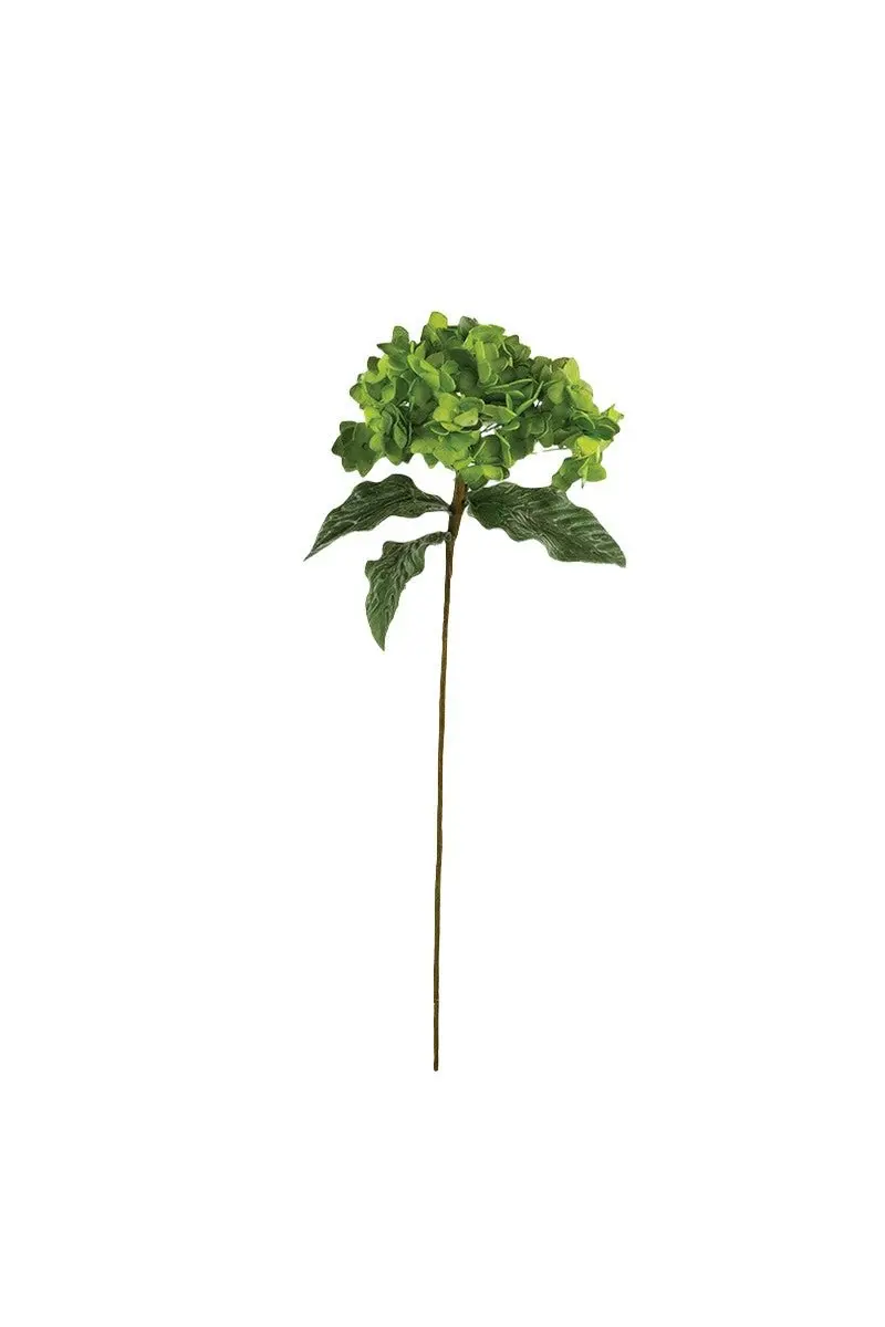 Botanica Green Hydrangea Stem by Kalalou