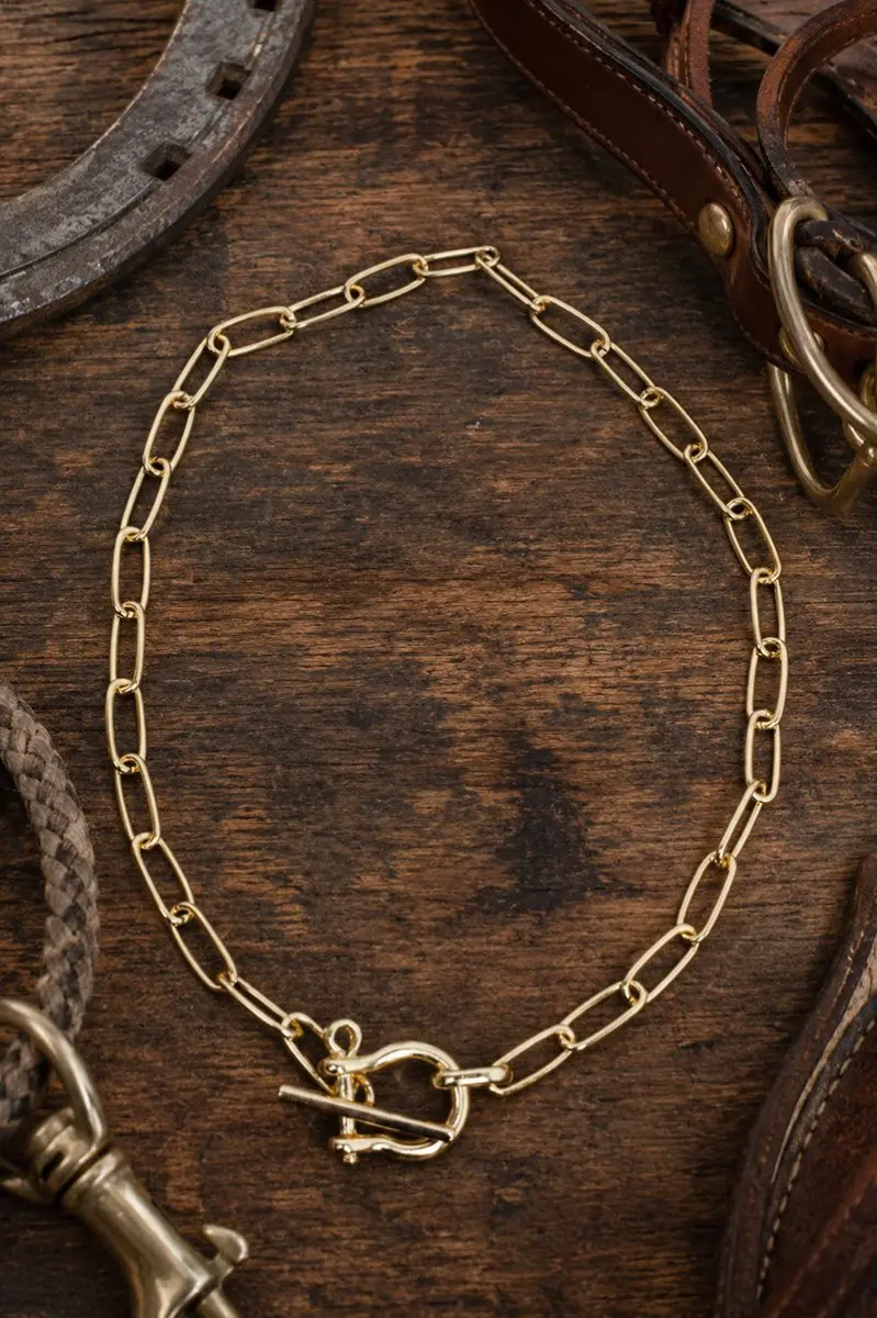 Canter Club Goldtone Toggle Necklace