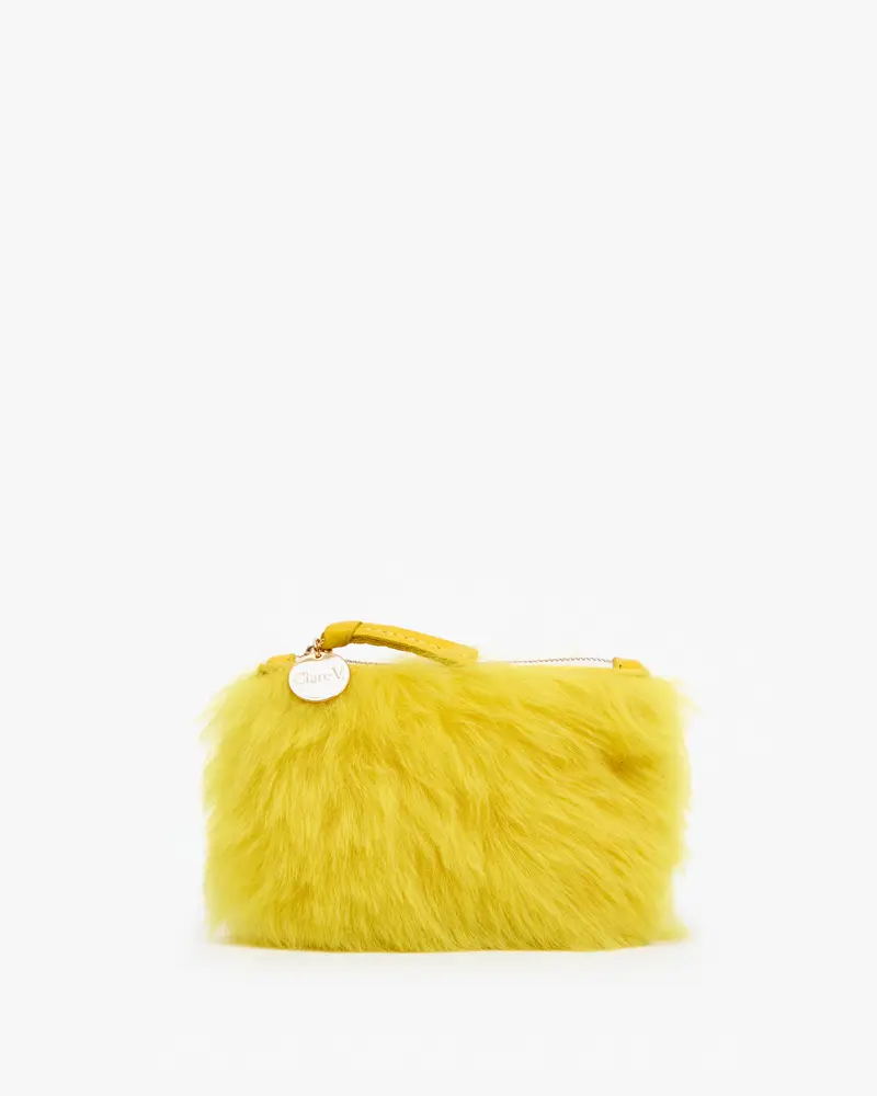 Coin Clutch