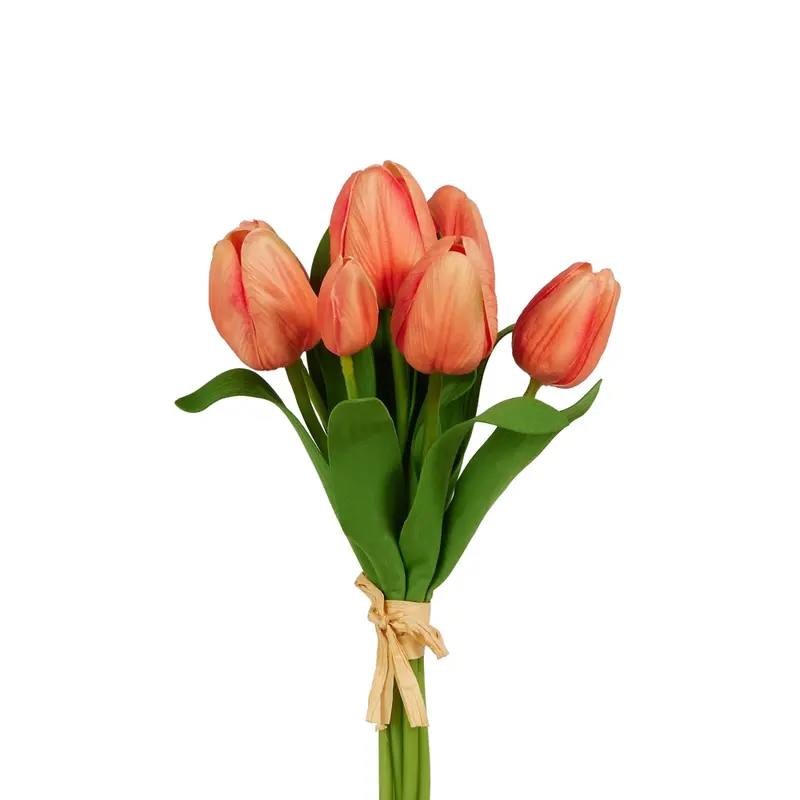 Coral Tulip Bundle 12 in