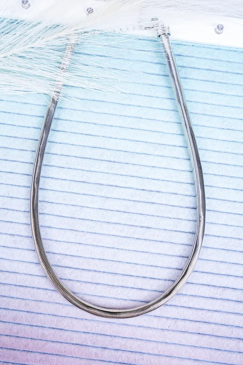 Crowd Pleaser Silvertone Omega Chain Necklace