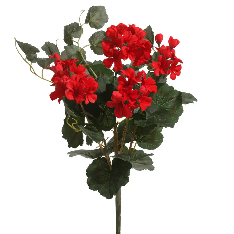 Geranium Bush 18.5 in