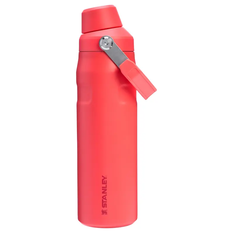IceFlow Bottle with Fast Flow Lid 24 oz
