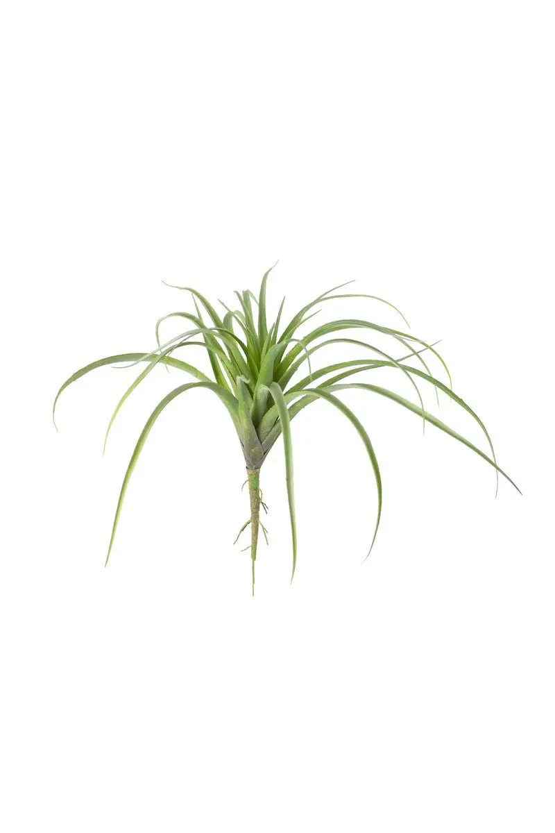 Large Artificial Air Plant by Kalalou