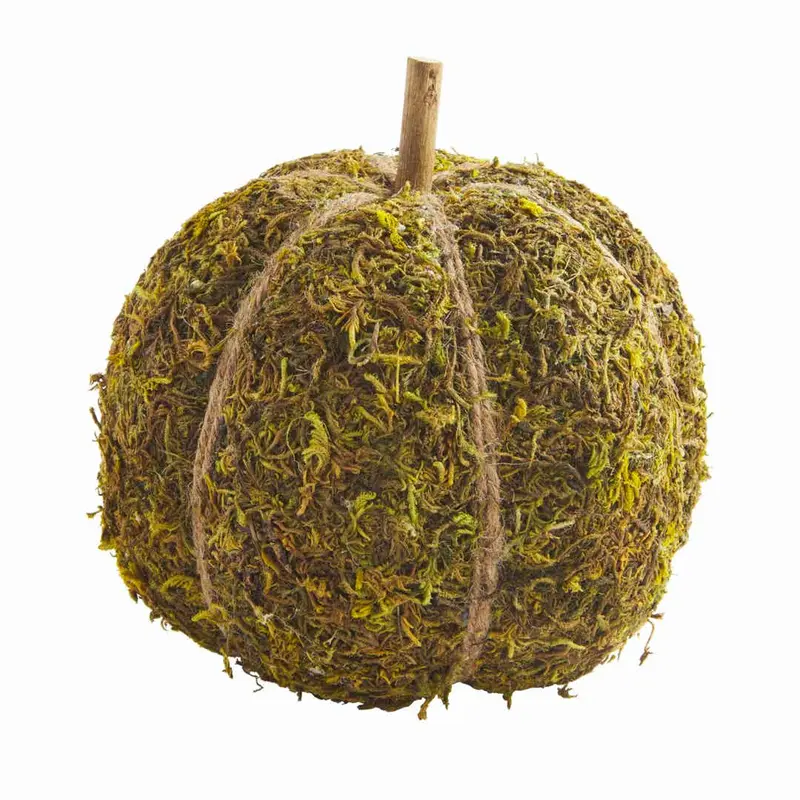 Large Moss Pumpkin by MudPie