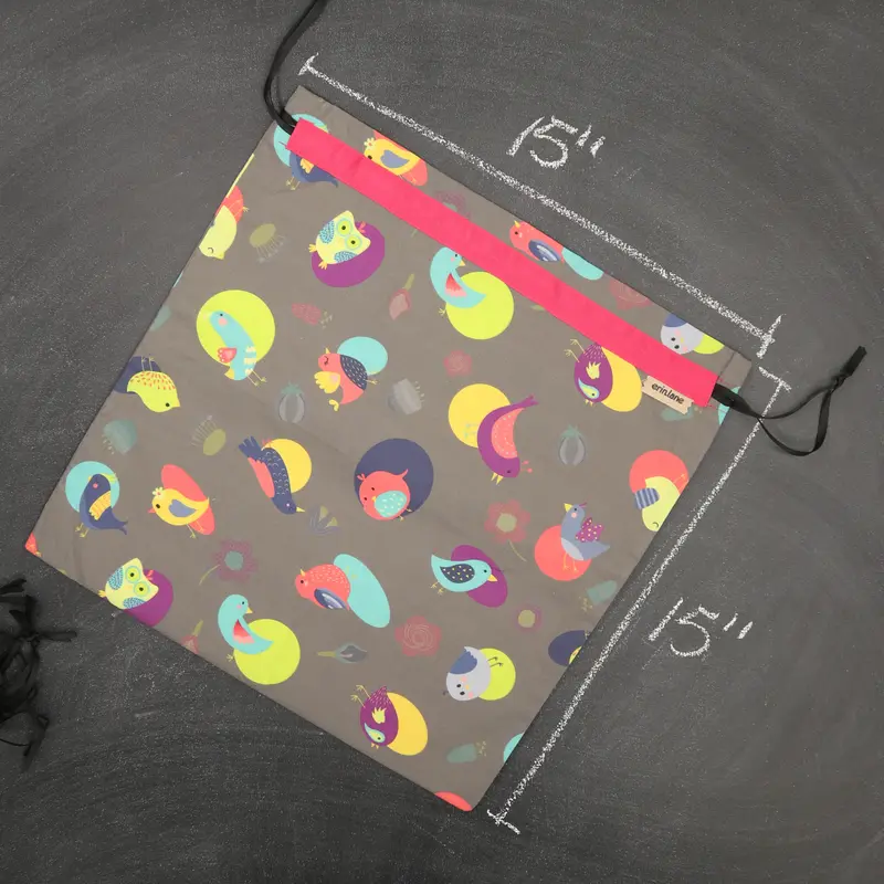 Large Project Bag in Beaky Besties