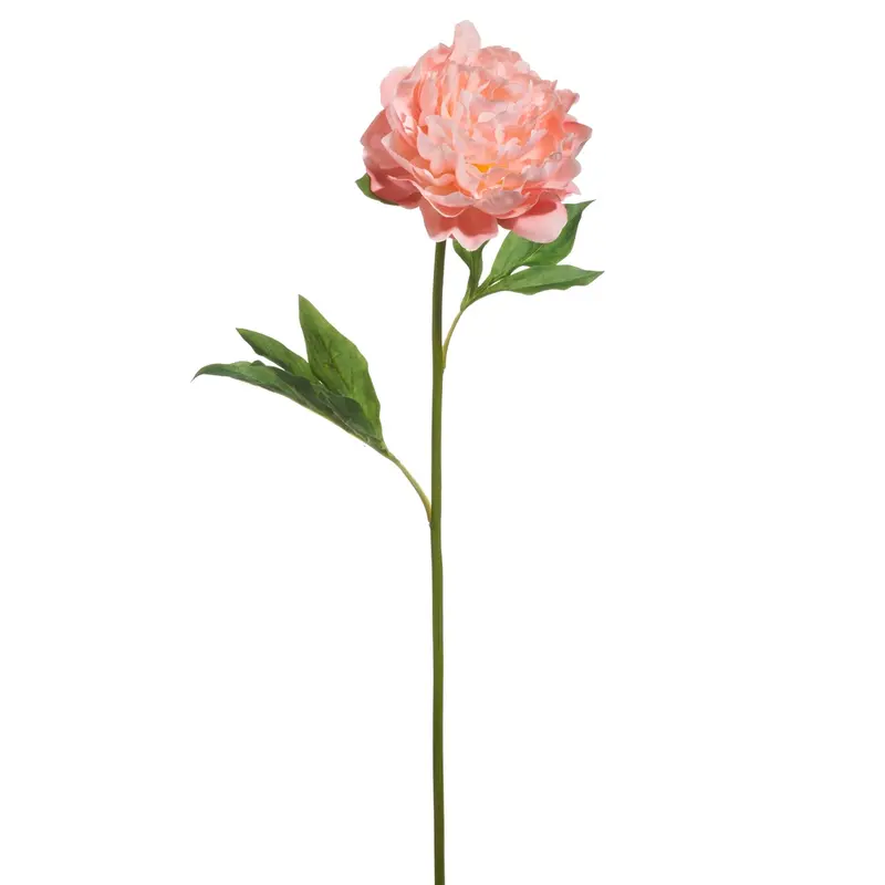 Light Pink Single Peony Stem 28 in