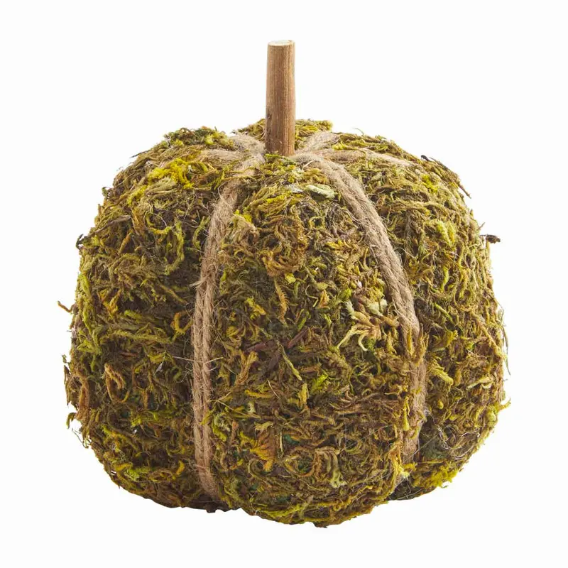 Medium Moss Pumpkin by MudPie