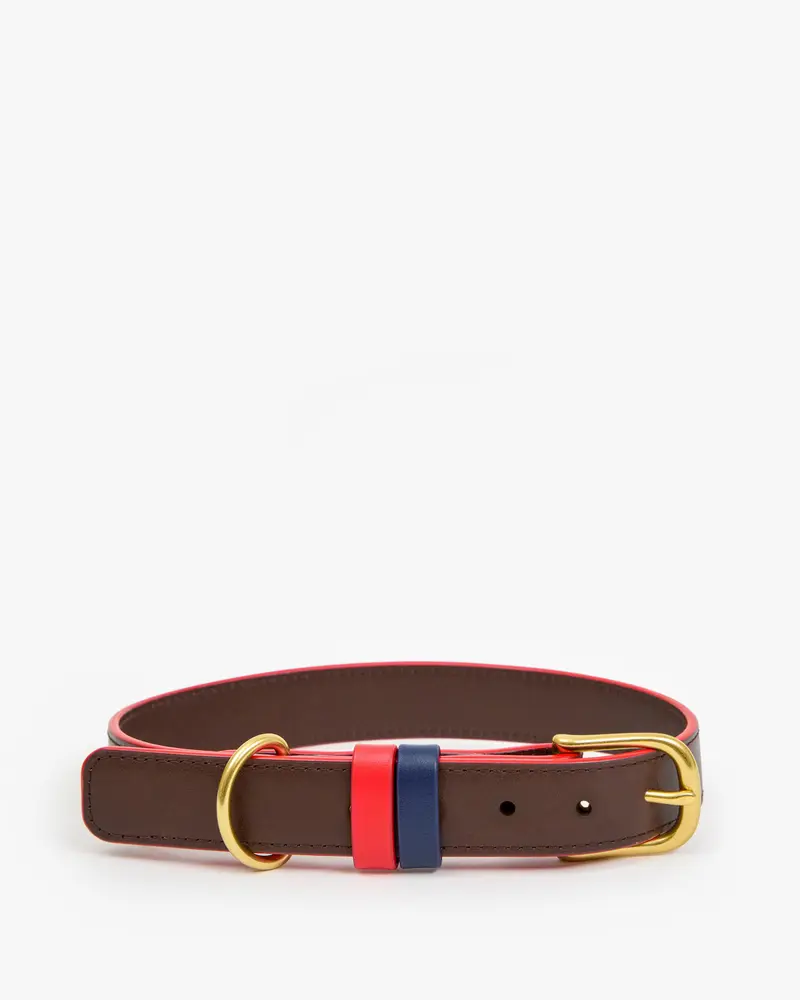 Paco Collar