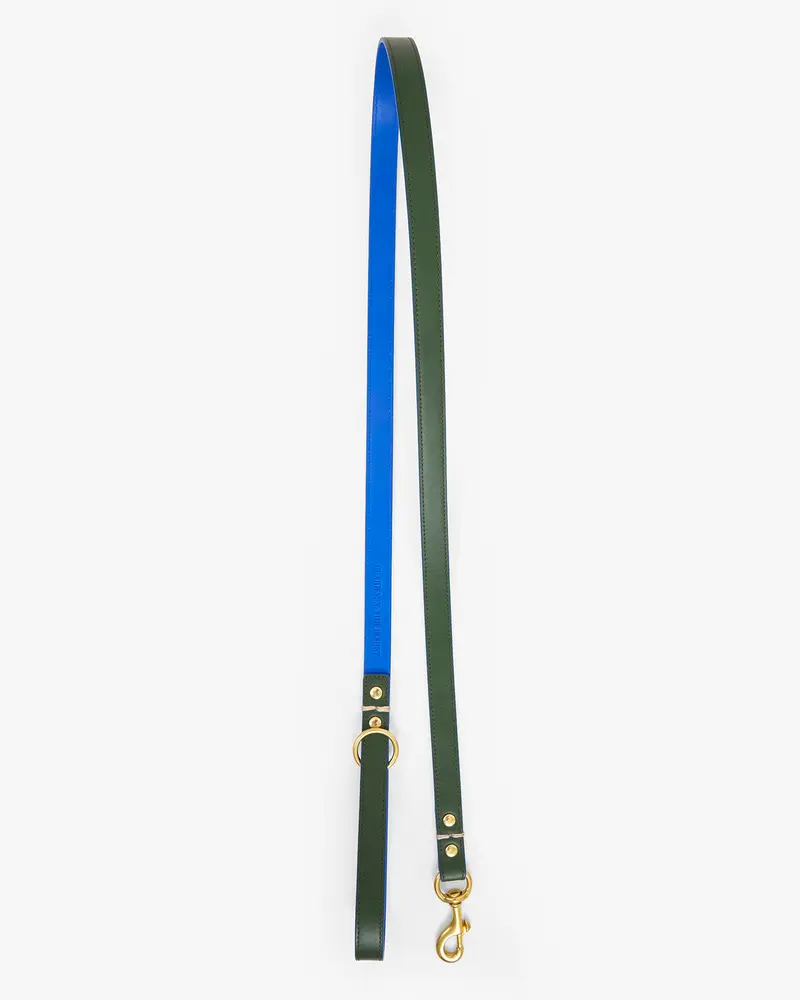 Paco Leash