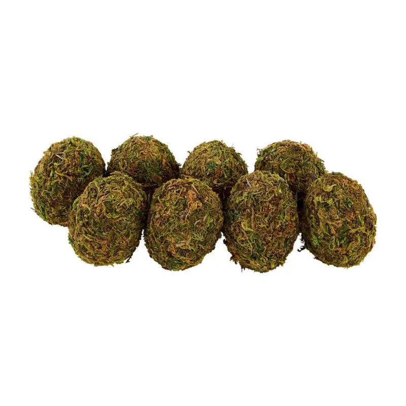 Preserved Moss Egg Filler Set by Mudpie