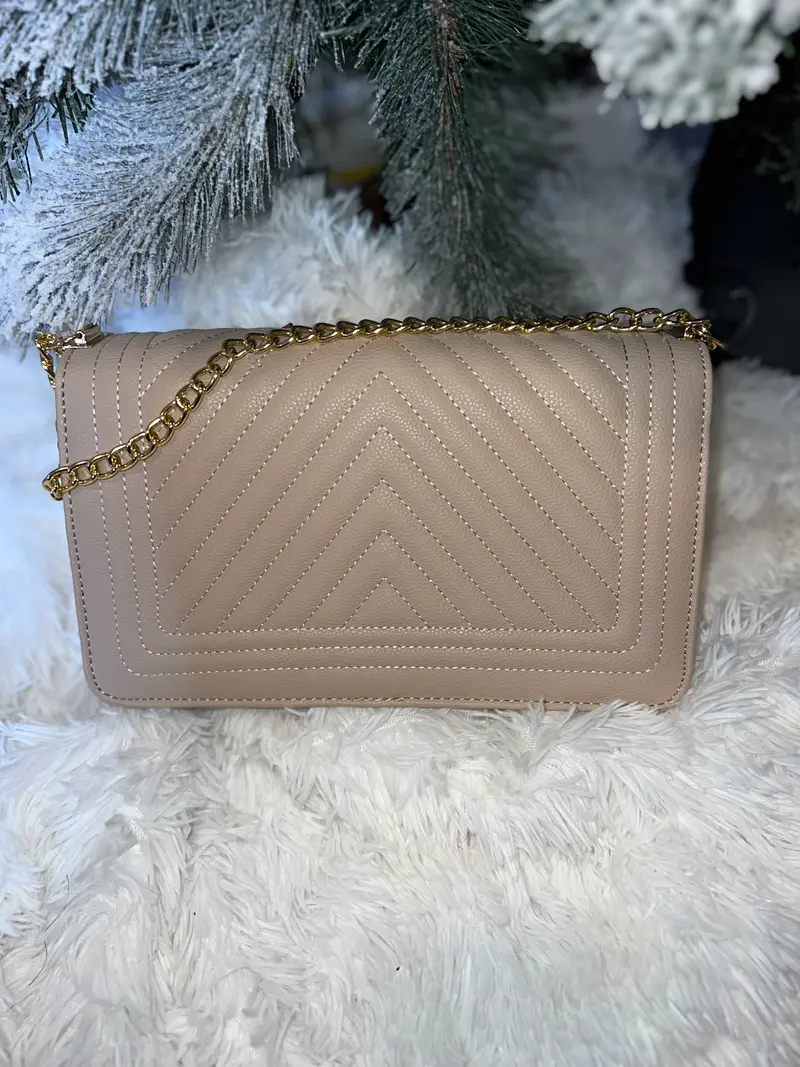 Prim and Proper purse