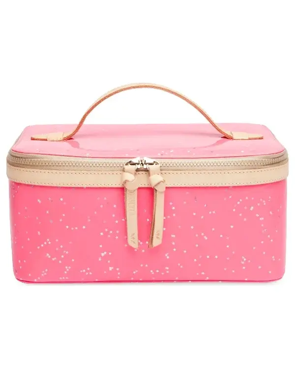 Shine Train Case