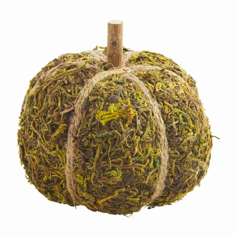 Small Moss Pumpkin by MudPie