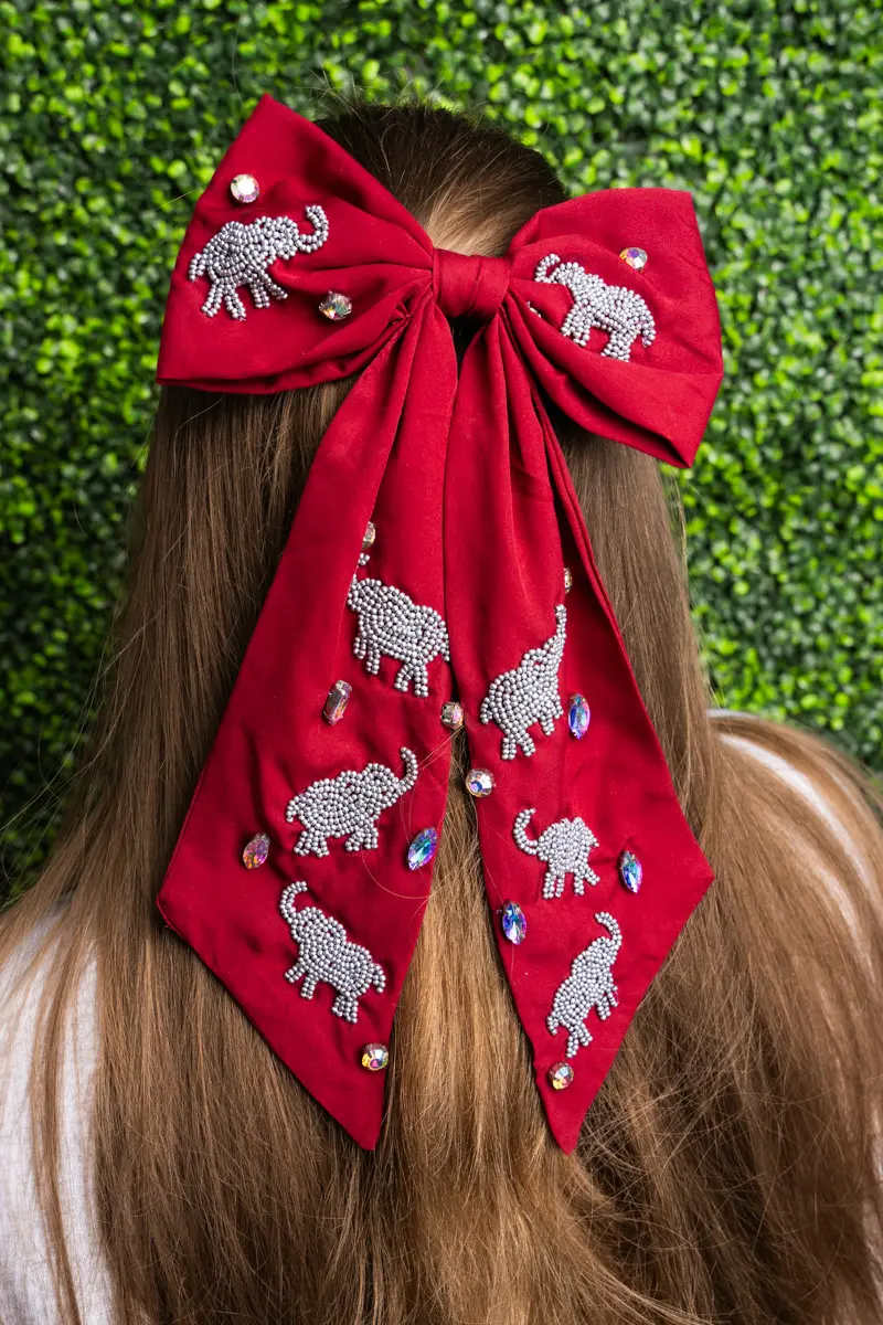 Tailgating Trunks Hair Bow Barrette