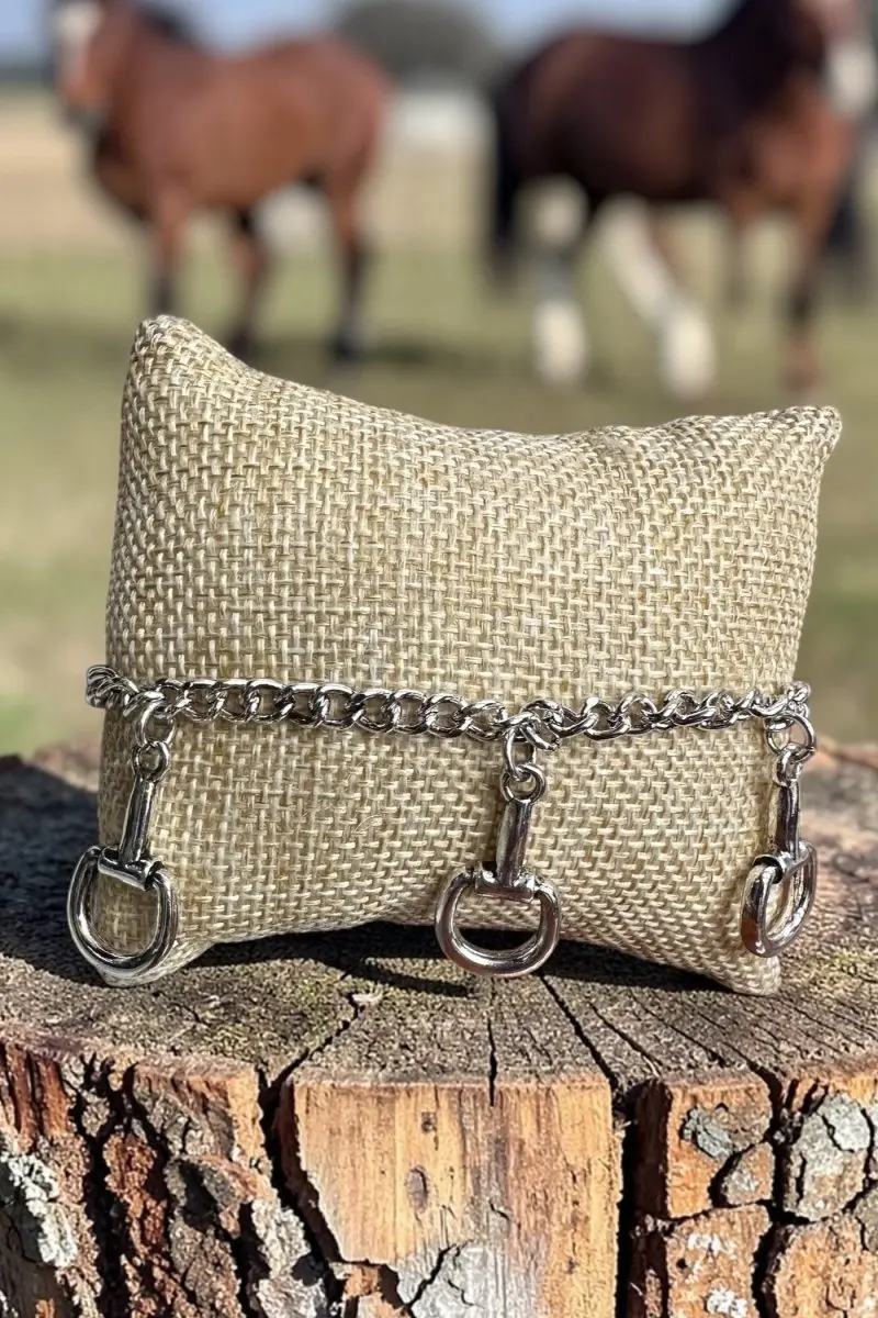 TIPI Arena Standard Silvertone Charm Bracelet