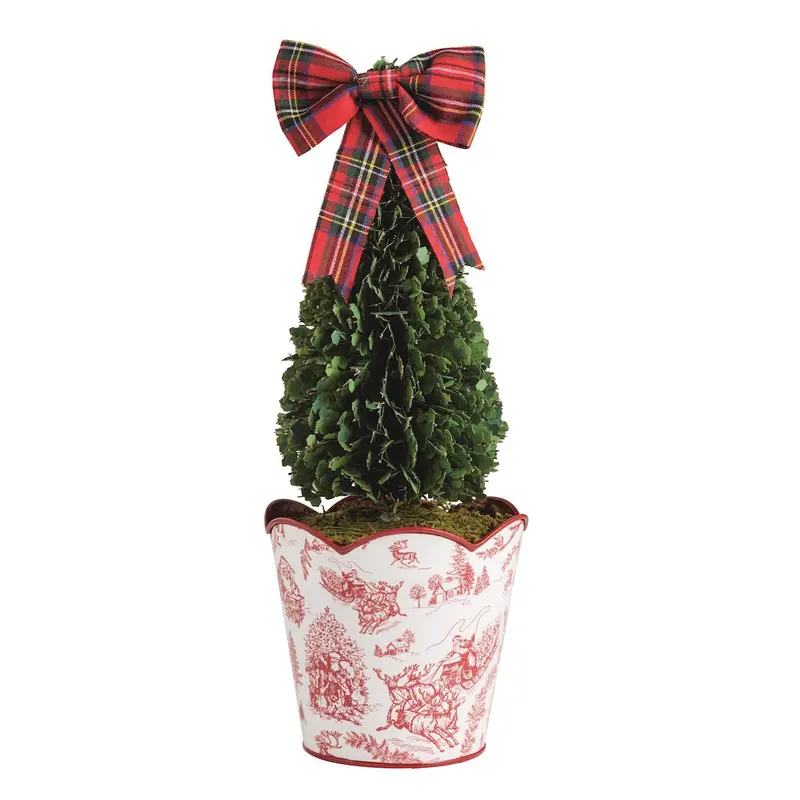 Toile Boxwood Topiary Large