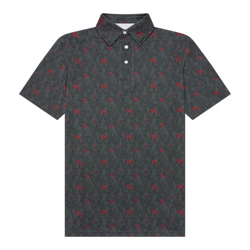 Traditions Polo in Desert Bloom