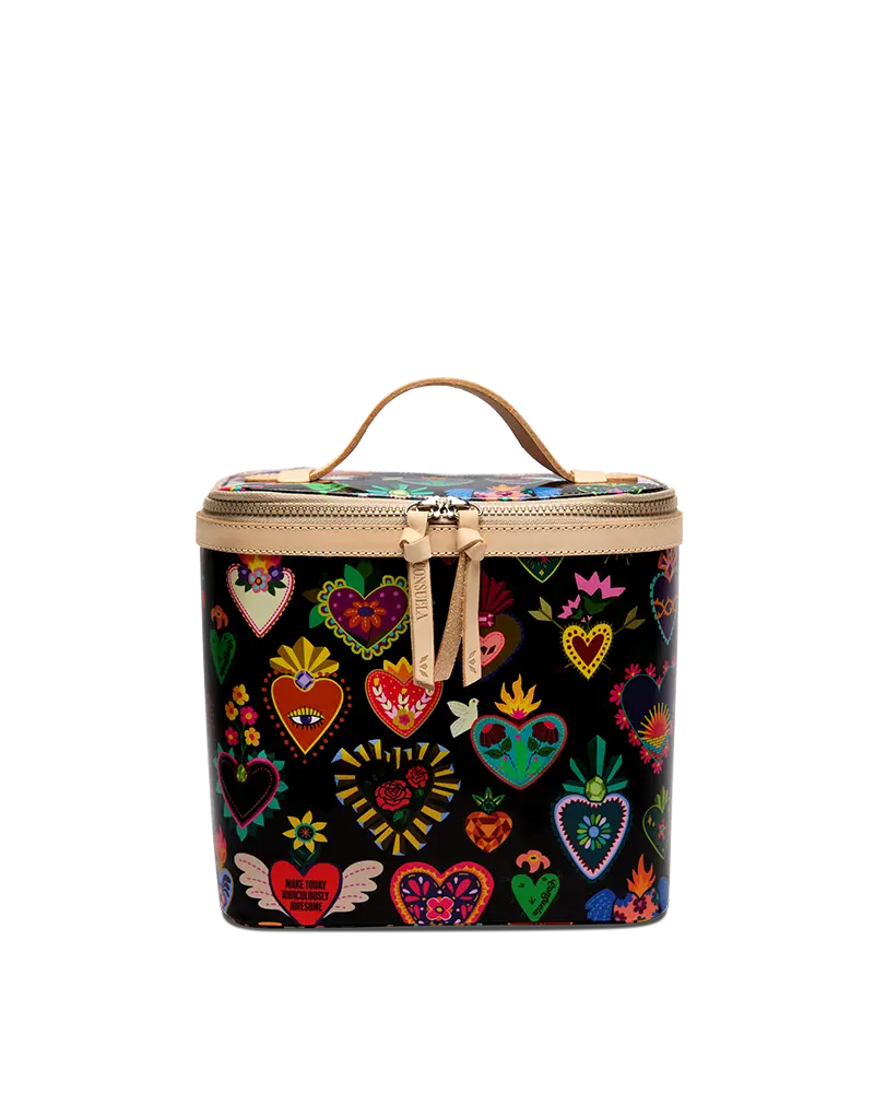 Vida Slim Train Case