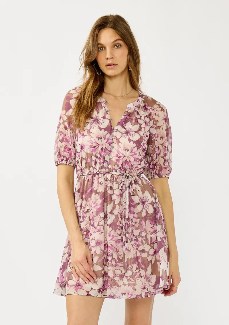 Vintage Vine Mini Dress