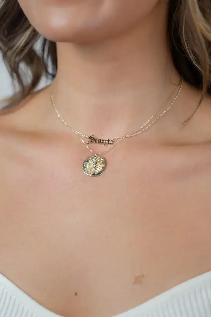 Zodiac Old World Pendants Necklace